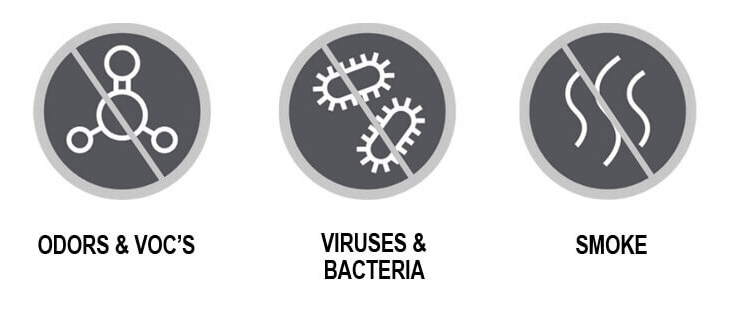 pathogen pollutant icons a
