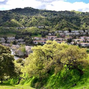 rossmoor ca